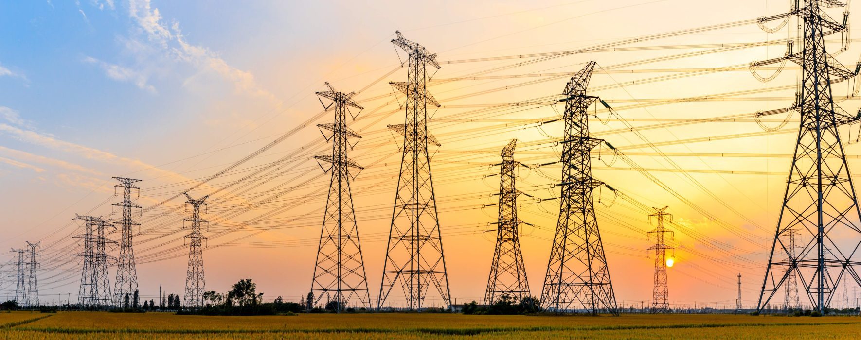 Electric Power Distribution and Transmission services